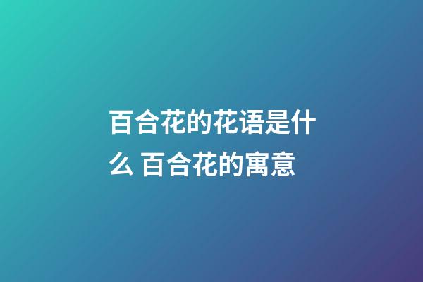百合花的花语是什么 百合花的寓意